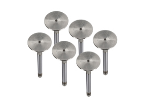 Auslassventilsatz für Motorzylinderkopf. Porsche 911 1970 - 77 - 91110541500, 91110541550