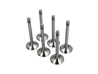 Kit de válvula de escape de culata de motor. Porsche 911 1970 - 77 - 91110541500, 91110541550