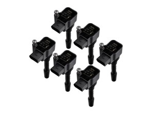 Bobines set van 6 Porsche Macan / Cayenne / Panamera - 94660210400, 94660210401, 94660210402, 94660210403, 9466021040, 94660210404