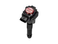 Plasma Directe Bobine Pakket. Porsche 996 / Boxster 986 / Boxster 987 / 997 / Kaaiman - 99760210400, 99760210402, 99660210400, 99760210404, 0986221119, 90660210200, 90660210301, 99660210100, 99660210101, 99660210200, 99760210401, 99760210700, 99760210702, 99760210406, 99760210405, 90660210101, 99760210703 - EUPD6004201R