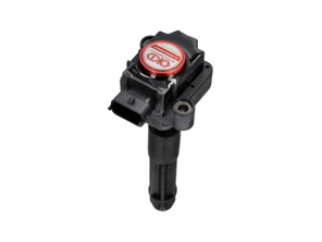 Plasma Direct Ignition Coil Pack. Porsche 996 / Boxster 986 / Boxster 987 / 997 / Cayman - 99760210400, 99760210402, 99660210400, 99760210404, 0986221119, 90660210200, 90660210301, 99660210100, 99660210101, 99660210200, 99760210401, 99760210700, 99760210702, 99760210406, 99760210405, 90660210101, 99760210703 - EUPD6004201R