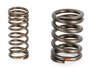 Valve spring set. Porsche 924 - 046109623, 048109623, PCG109623