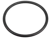 密封圈 31 x 2 高压燃油泵。保时捷 95B Macan / 957 / 958 / 9YA Cayenne / 970 / 971 Panamera - WHT005184 - 172666