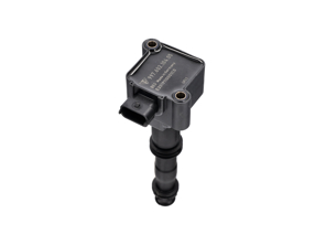 Bobina di accensione. Porsche 996/986/987 Boxster/Cayman 1997-11 - 99760210400, 99760210402, 99660210400, 99760210404, 99760210400, 0986221119, 90660210200, 90660210301, 99660210100, 99660210101, 99660210200, 99660210400, 99760210400, 99760210401, 99760210402, 99760210404, 99760210700, 99760210702, 245752, 2504992, 99760210406, 99760210405, 99760210704 - GN1050412B1, ZS036, ZS178, ZS036, ZS178