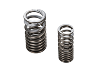 Intake & Exhaust Valve Springs for Porsche 991-1 GT3 & GT3 RS 2014-2017 - 9A110511090, 9A110511091, 9A110511092
