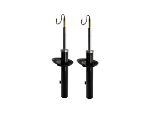 Shock Absorbers (PAIR), Rear. Porsche 982 Boxster / Cayman (718) 2017>> - 982513031F, 982513031A, 982513031D