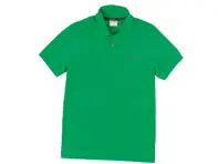 Polo Porsche pour homme, vert