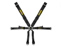 SCHROTH PROFI 6-Point adjustable race harness. Porsche 981 Cayman - 94670-0, 94670-2
