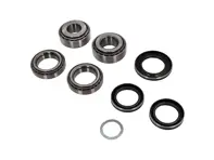 Front differential bearing rebuild kit. Porsche Cayenne 955 / 957 - 95534918910