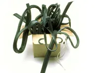 Restauratie rubberen afdichtingen kit. Porsche 911 Coupé Standaard carrosserie