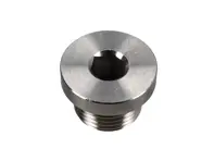 Blindstopfen für die Sauerstoffsensoröffnung - 333660211