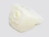 Réservoir de liquide à frein. Porsche 964 / 993 / Carrera GT - 99335511350, 96435511351