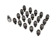 Titan-Radschrauben, 20er-Pack. Porsche 991 / 992.1 / 981 Boxster / 981 Cayman - WHT010249C