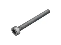 Brake caliper mounting bolt rear. Porsche 9YA Cayenne / 991 turbo - PAF911837, N91183701