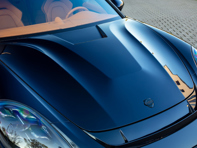 TechArt Aero Motorhaube. Porsche Panamera 971 (G2) 2021>> - 071.121.196.009 - 071.121.196.009