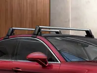 Roof transport system. Porsche 971 Panamera 2017>> (I0E1) - 971860159, 971860159B