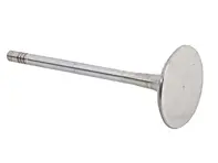 Motor cilinderkop inlaatklep. Porsche 996 Turbo / 997 Turbo - 99610511172