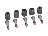 Kit perno guida disco freno. Porsche 991 GT2 RS / 991 GT3 - 99134190580
