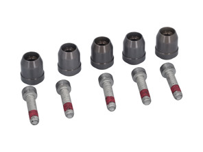 Brake disc driving pin kit. Porsche 991 GT2 RS / 991 GT3 - 99134190580