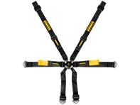 SCHROTH Enduro 2x2 FHR 6-Point adjustable race harness. Porsche 991 / 981 Cayman - 94720-0