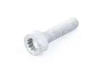 Schraube mit Polygon-Sockel HD - N91128701