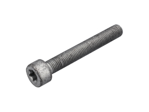 Brake Caliper Mounting Bolts. Porsche 997 / Panamera / 991 / 981 Boxster / 981C Cayman - 99906705309, 9A700758500