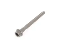 Camshaft Gear Bolt. Porsche Cayenne - 94810418101