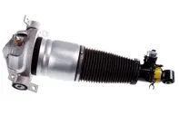 Luftfederbeineinheit hinten. Porsche Cayenne 2002 - 2010 - 350019000001, 95533303444/1, 95533303342, 95533303343, 95533303344, 95533303320, 95533303321, 9553330332, 95533303442, 95533303443, 95533303444, 95533303420, 95533303421, 95533304322, 350019100001, 95533303344/1