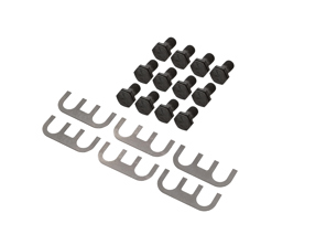 Set met borgplaten voor differentieelbehuizing (6) en bouten (12) voor Porsche 911 / 914 / 924 - 90133228501