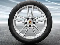 Cerchi in lega da 20' Cayenne Sport e pneumatici estivi Porsche originali - 9Y0044661C