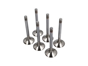 Kit valvola di scarico testata motore, SET DA 6. Porsche 964 Carrera 2 / Carrera 4 - 96410541903