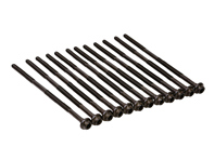Cylinder head bolt long, Set of 12. Porsche Boxster / Cayman / 996 / 997 - 99610418056, 99610418057, 99610418058, 99610418059, 523.050