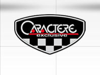 Caractere Installationspaket für Frontstoßstange NICHT-TURBO-Modelle. Porsche 958 Cayenne - CP58110160
