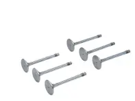 Engine cylinder head exhaust valve kit TRW. Porsche 911 1970-77 - 91110541500, 91110541550, 1041.239, 3064, 13388