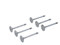 Kit valvola scarico testata motore TRW. Porsche 911 1970-77 - 91110541500, 91110541550, 1041.239, 3064, 13388