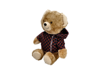 Teddybär „Ferry“