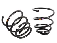 Front Coil Springs (Pair). Porsche 996 Carrera COUPE (M030) >>2001 - 99634353314504, 99634353336504