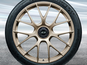 20'/21' 991.2 GT3 RS Magnesium, in White Gold Metallic (satin-gloss) Alloy Wheels Original Porsche - 99104460339