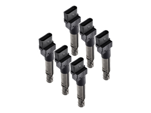 Zündspulenpaket. Porsche Cayenne 955 V6 / Cayenne 957 V6 - 95560210105, 0040102044, 40102041, 95560210100, 95560210101, 95560210102, 95560210103, 95560210104, 95560210105, 95860210100 - ZSE044, ZSE044