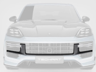 Parrilla delantera de carbono TechArt. Porsche 9YA (E3.2) Cayenne con diseño deportivo del año modelo 2024. - 09Y.121.108.009G, 09Y.121.108.009M - 09Y.121.108.009G, 09Y.121.108.009M