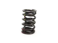 Exhaust valve spring set. Porsche 987.2 Boxster S / 987.2 Cayman S / 997.2 - 9A110511501