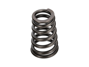 气门弹簧。保时捷 996 3.6L 08/2001>> - 99610511801